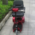 Electric Mobility Scooter 3 Wheel for Elderly (DL24250-1)